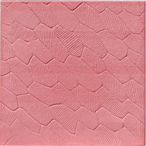 TR 2419 40x40